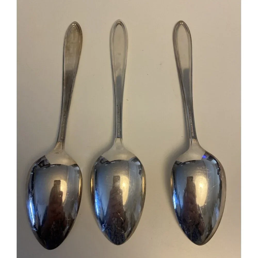 International Silver Co Silverplate ROSE AND LEAF Serving Spoons 8